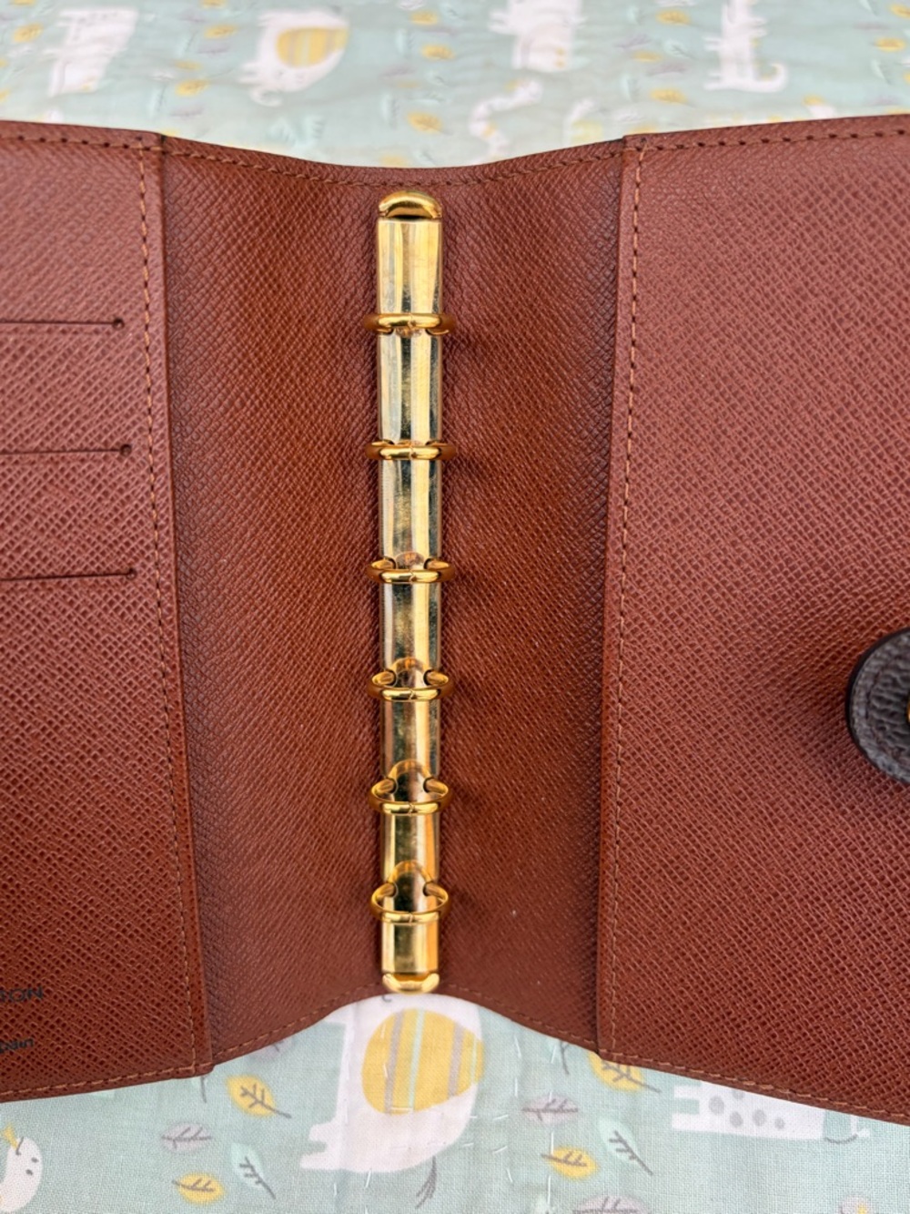 Louis Vuitton Agenda Pm (PRICE FIRM) - Picture 9 of 9